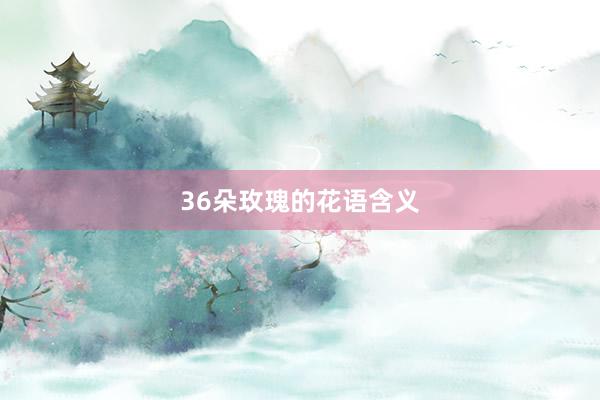36朵玫瑰的花语含义